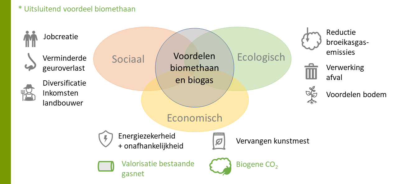 Voordelen biogas en biomethaan