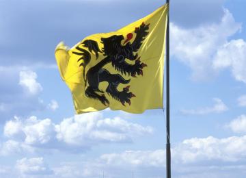 Vlaamse vlag