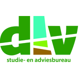 DLV logo