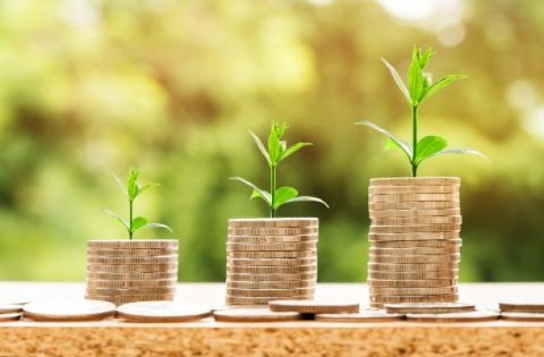 Foto_bf