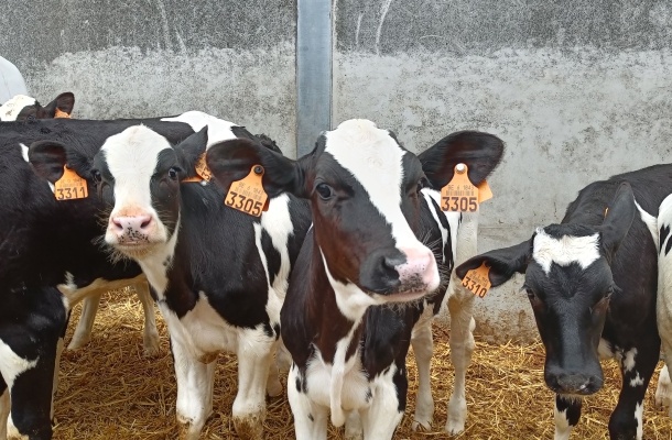 biogas-e